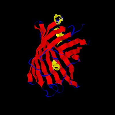 GFP-1.gif (10850 bytes)