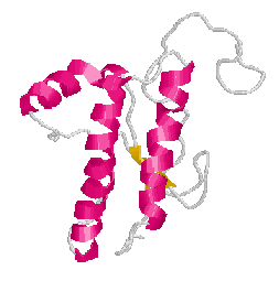 protein3.GIF (7316 bytes)