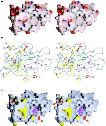 fig3.gif (68228 �Ӧ줸��)