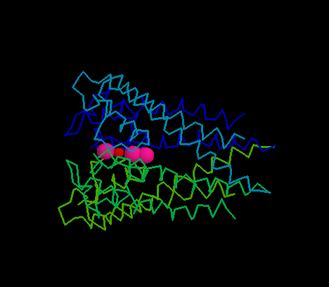bio_test