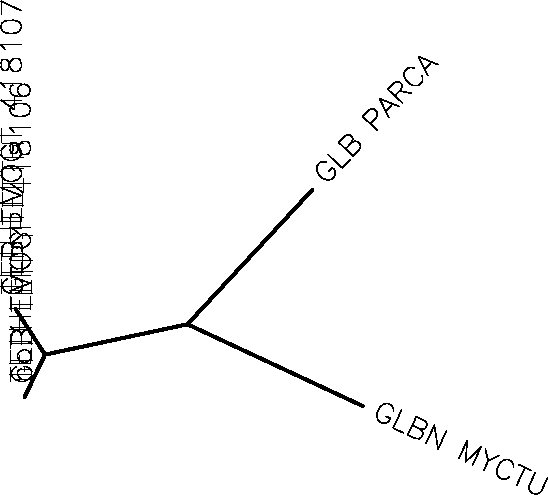 22846.CLUSTALW.1 (3648 bytes)