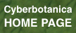[Go Back to the Cyberbotanica Home Page]