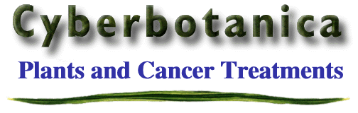 Cyberbotanica: Plant Compounds Used in Chemotherapy